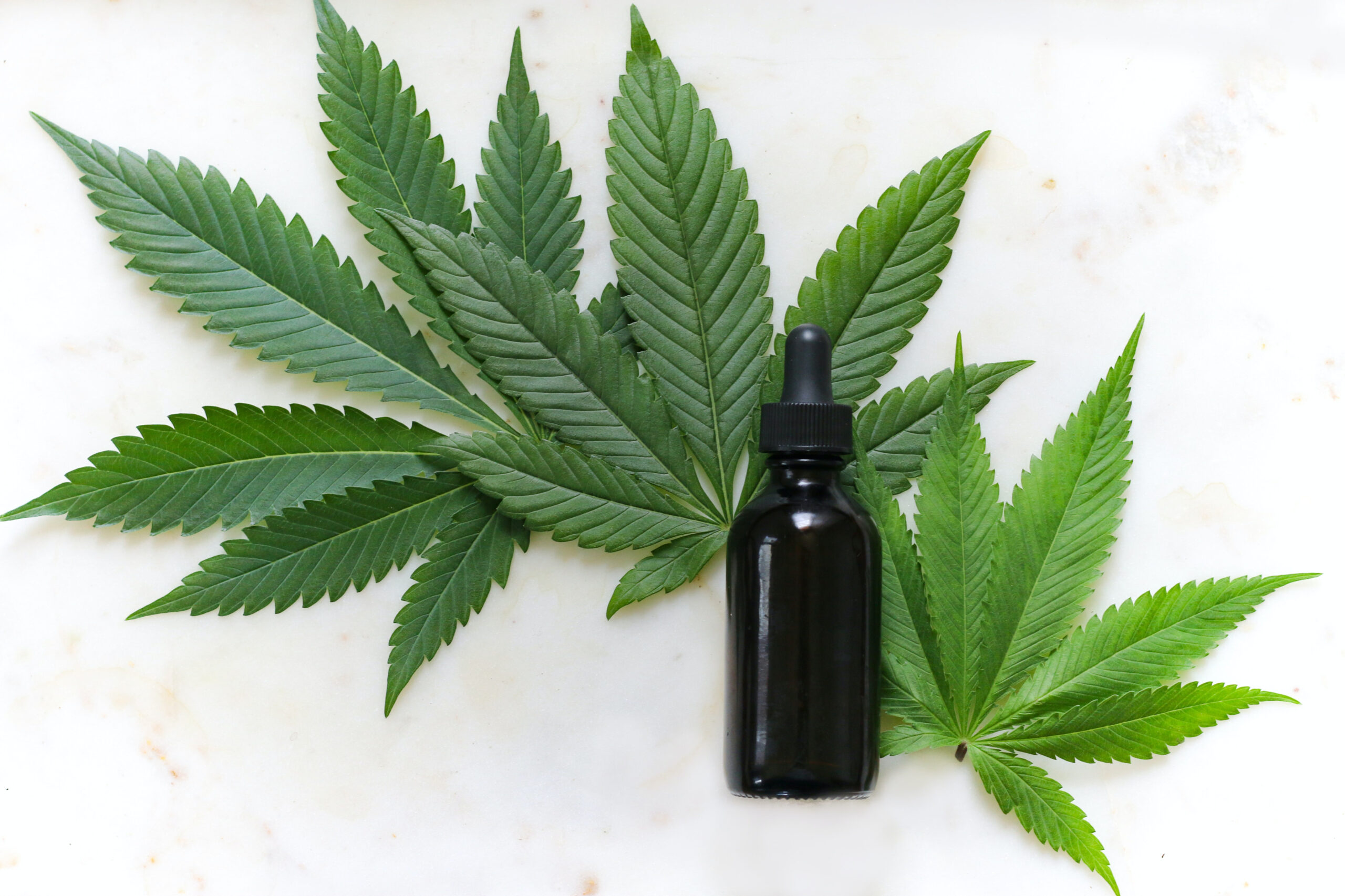 CBD Bottle and Cannabis Leaves